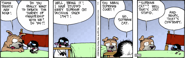 fuzzy